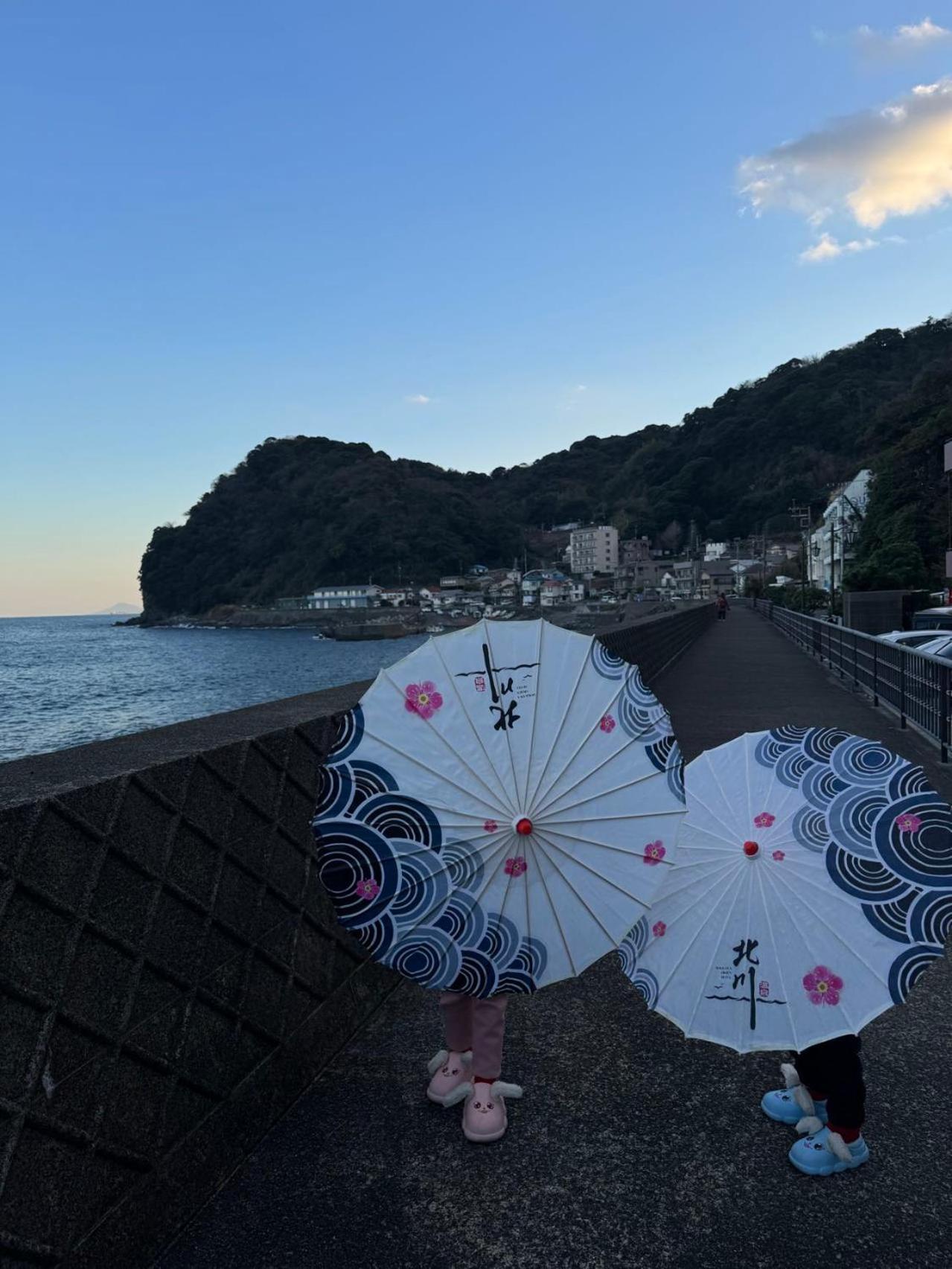 Hokkawa Onsen Hotel Higashiizu Εξωτερικό φωτογραφία